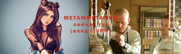 трава Аркадак