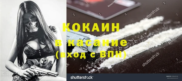 трава Аркадак